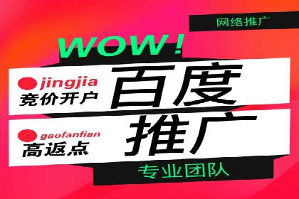 百度SEM优化案例：提升品牌知名度